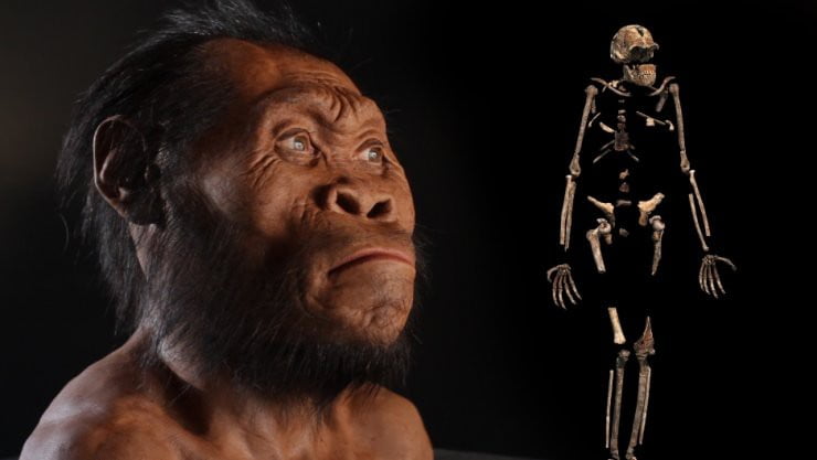 Gizemli Homo Naledi Kimdir? 