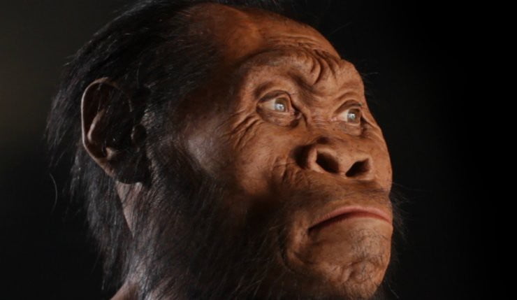 Gizemli Homo Naledi Kimdir? 