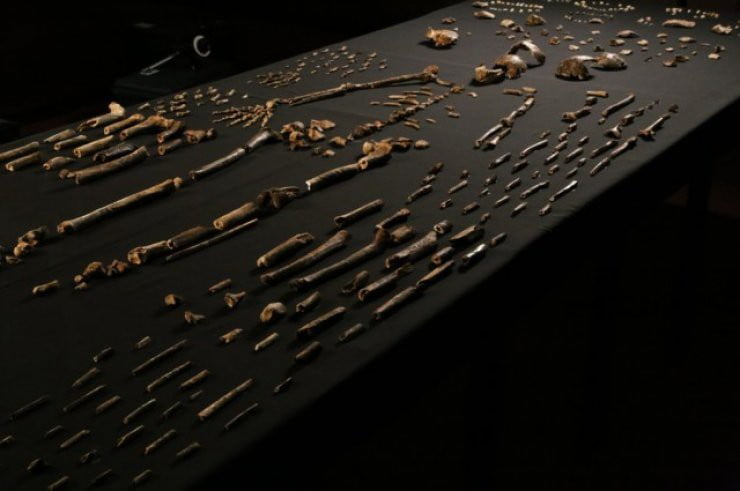 Gizemli Homo Naledi Kimdir? 