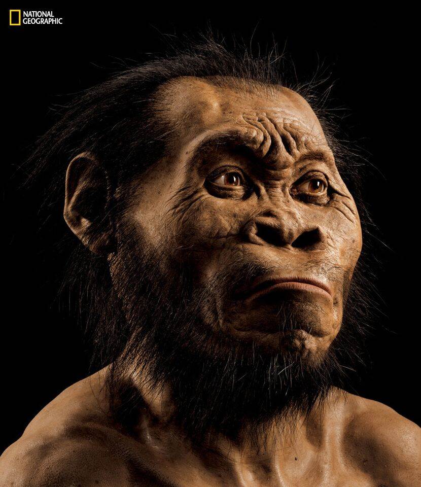 Gizemli Homo Naledi Kimdir? 