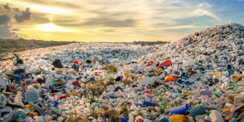 Dünya’nın Plastik Atık Sorununa Karşı Yeni Bir Hamle!