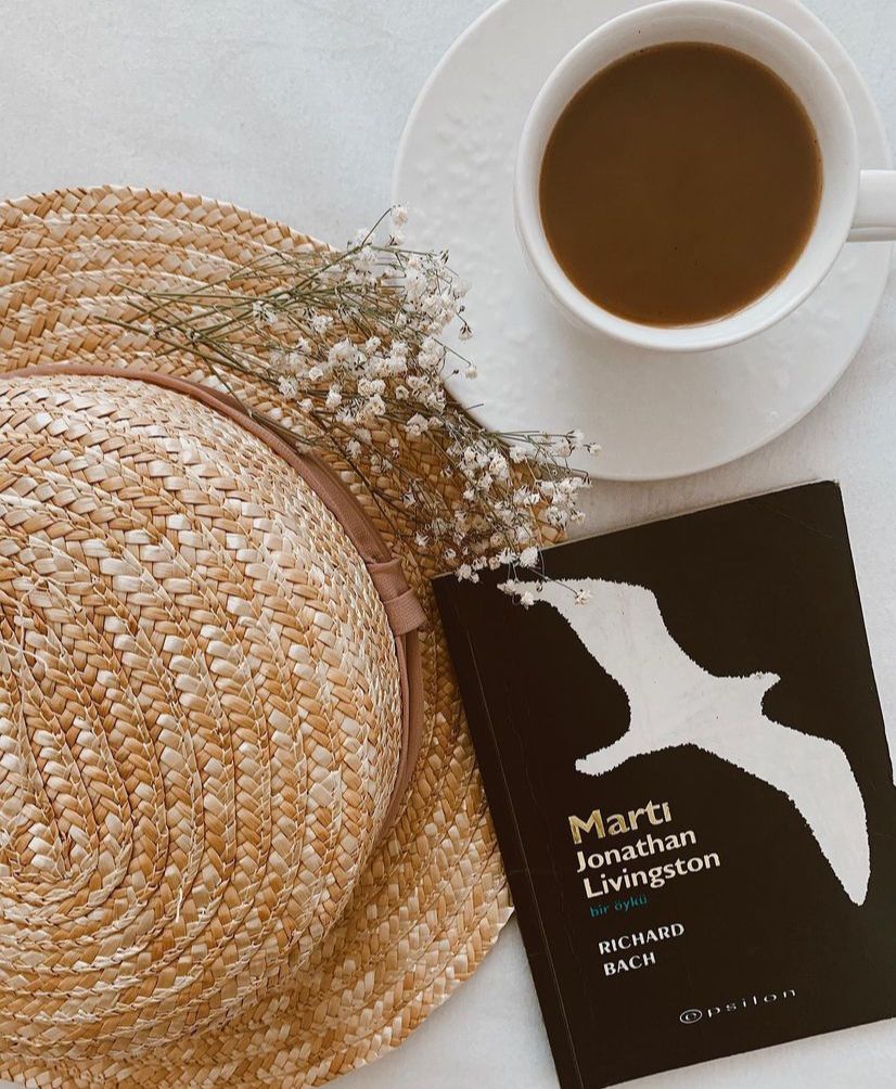 Martı – JONATHAN LİVİNGSTON