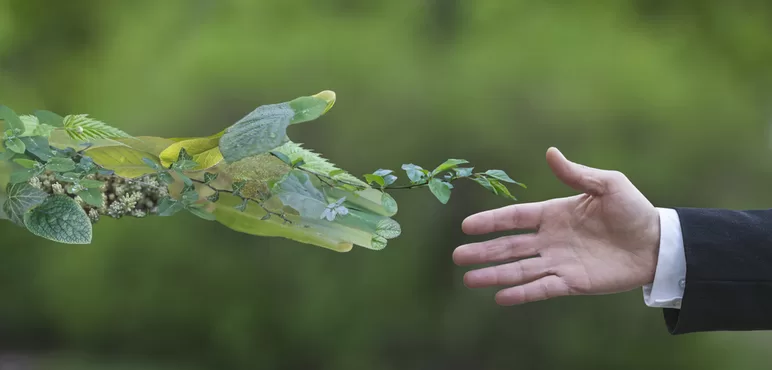 Green Marketing Nedir?
