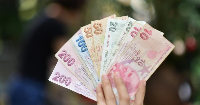Türkiye Yatırım Teşvik Paketi: Teknoloji ve Yeşil Enerji