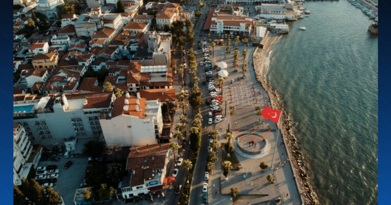 Türkiye’de Üreme Ticareti Olayı