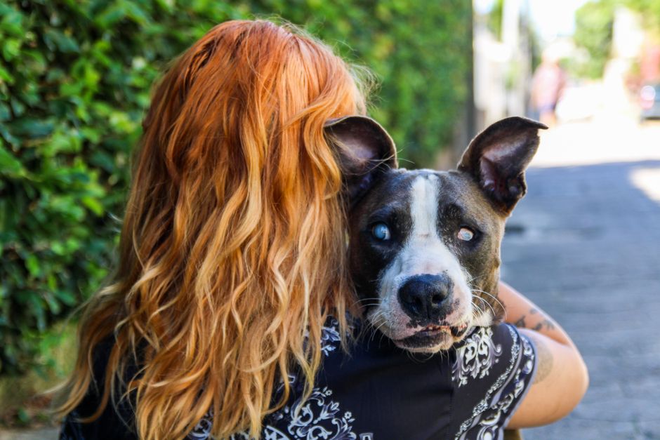 Kızıl saçlı bir kadın, güneşli bir açık havada kör bir köpeği sevgiyle tutuyor.