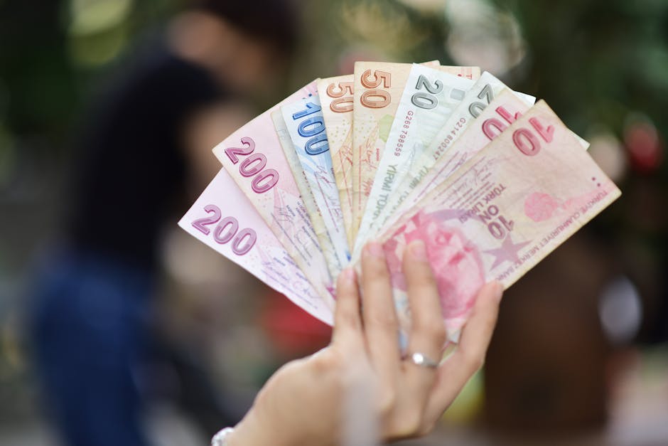 Elde çeşitli Türk Liraları görülüyor, banknotların farklı değerleri sergileniyor.