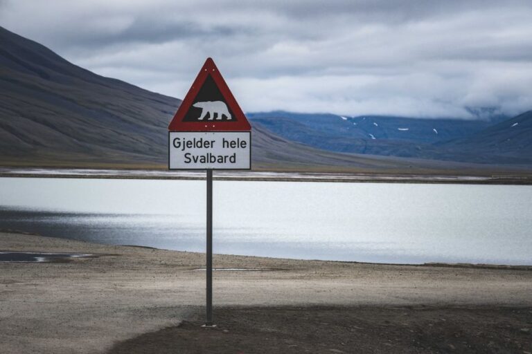 Norveç’in Svalbard Adası’ndaki İlginç Yasaklar